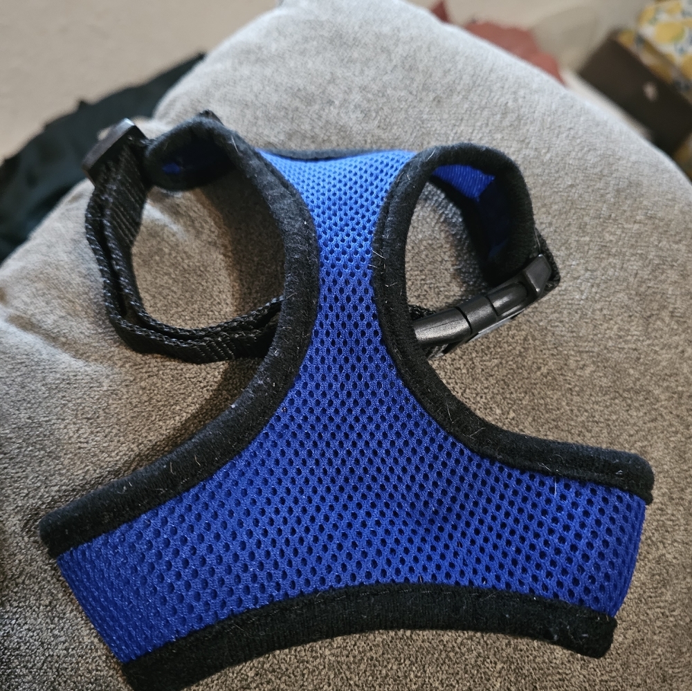 Four Paws Comfort Control Air Mesh Harness, Blue Small